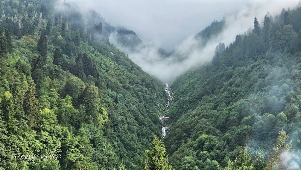 Ayder Plateau - 3