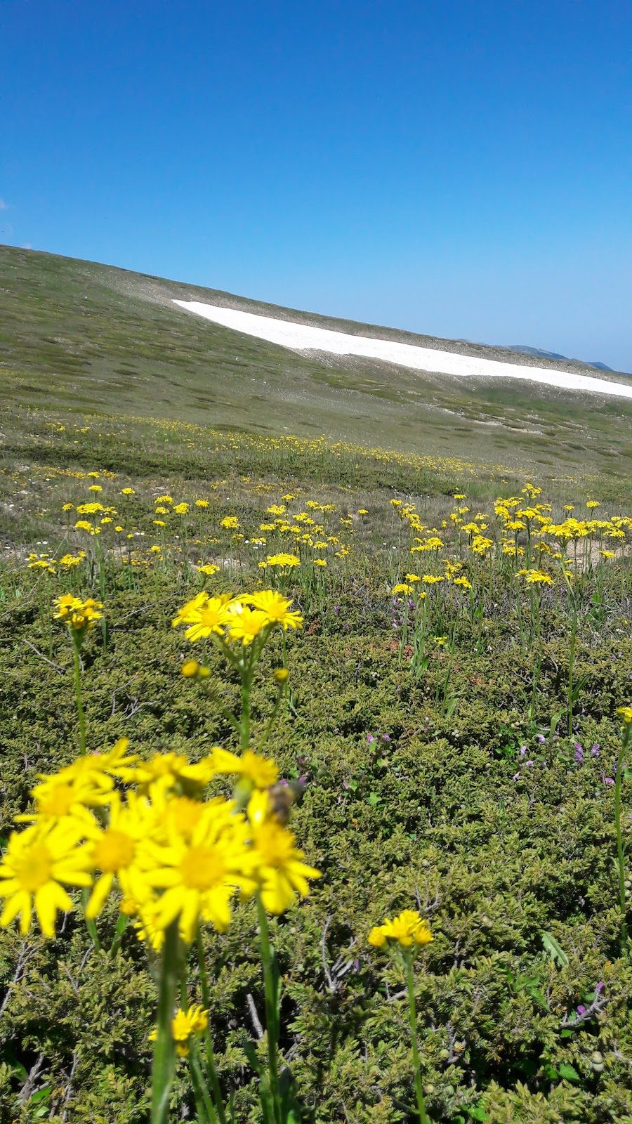 Mount Keşiş / Uludağ National Park - 3