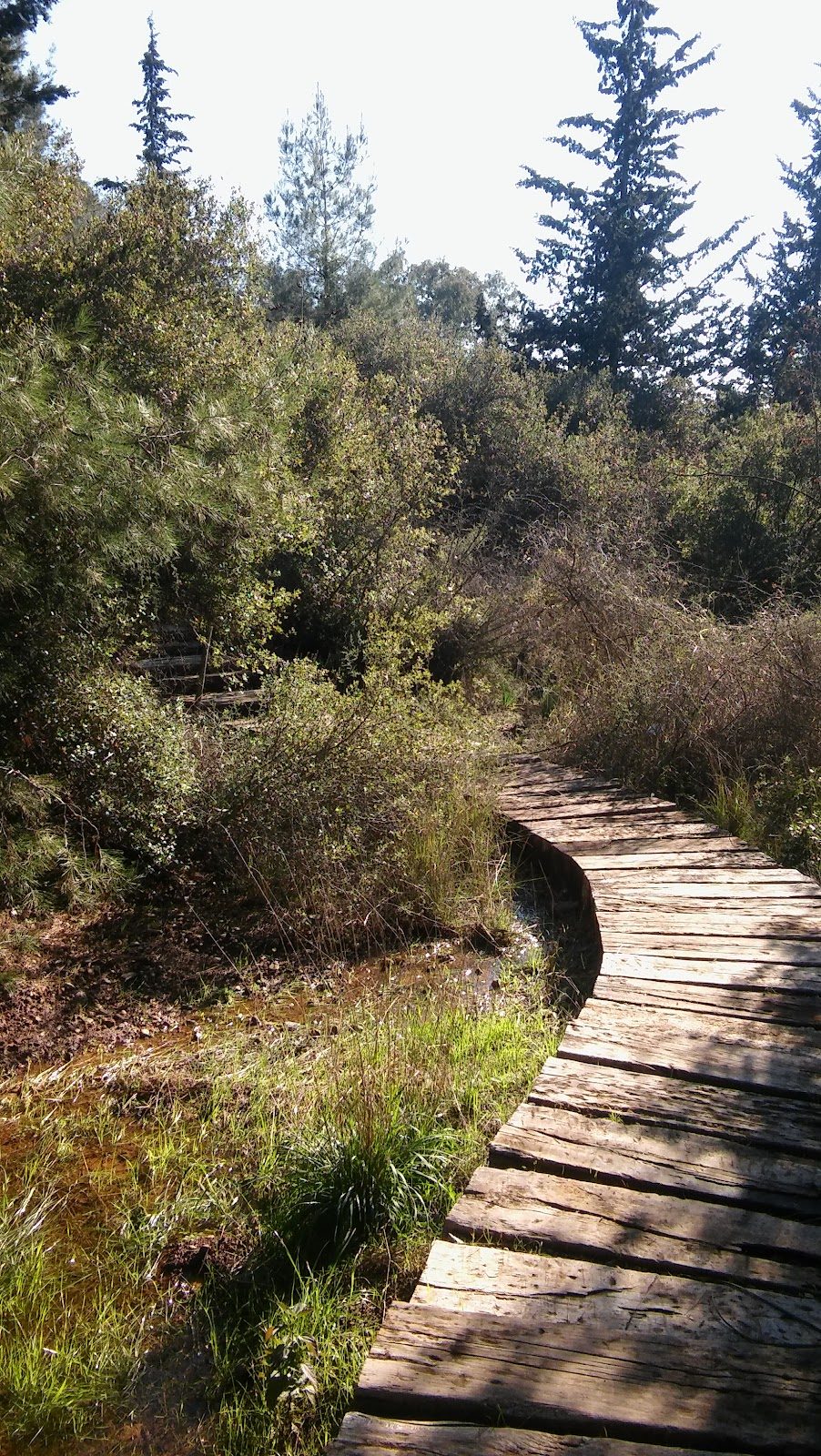 Ç. Ü. Ali Nihat Gökyiğit Botanical Garden