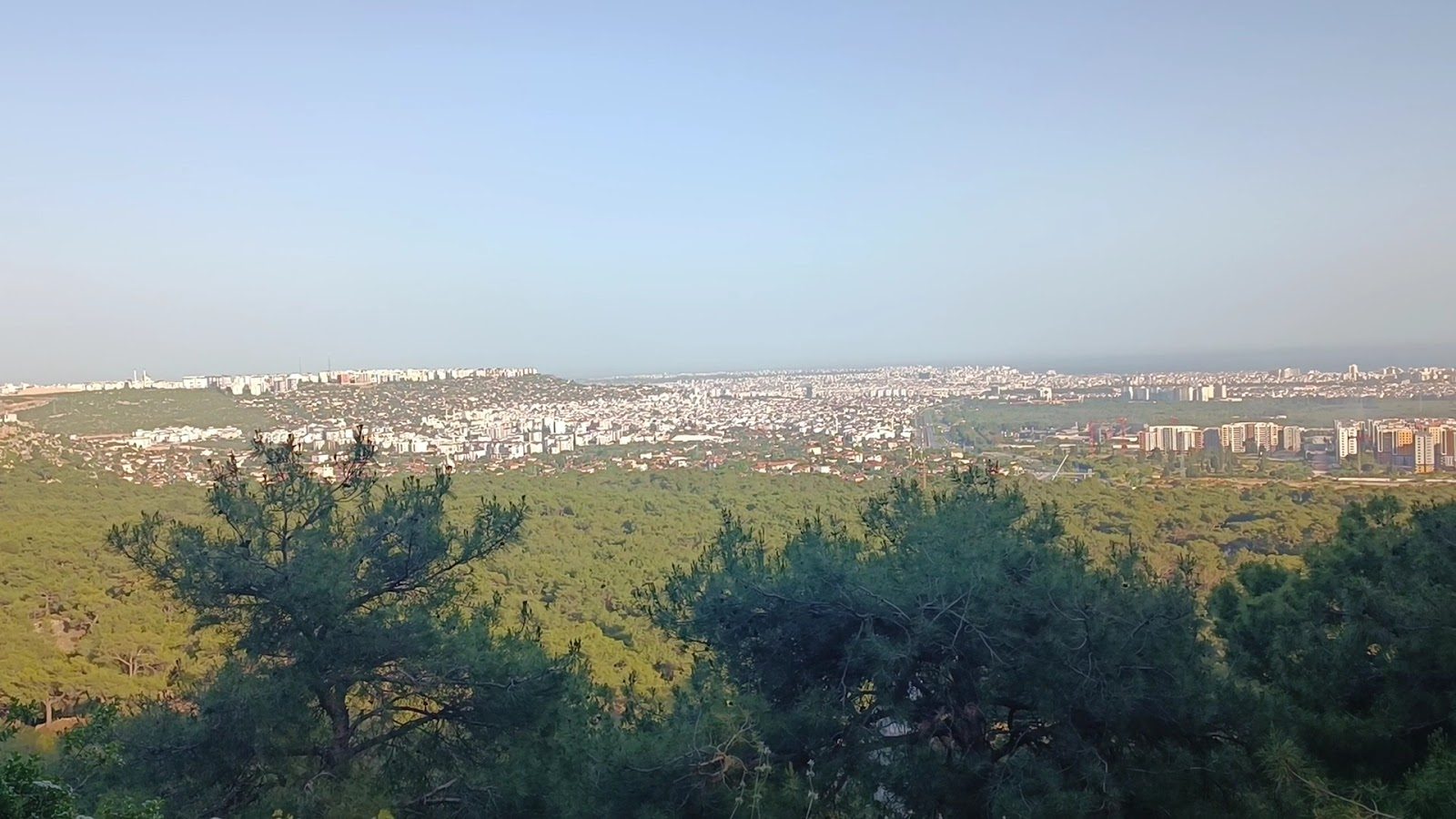 Kepez Municipality City Forest - 1