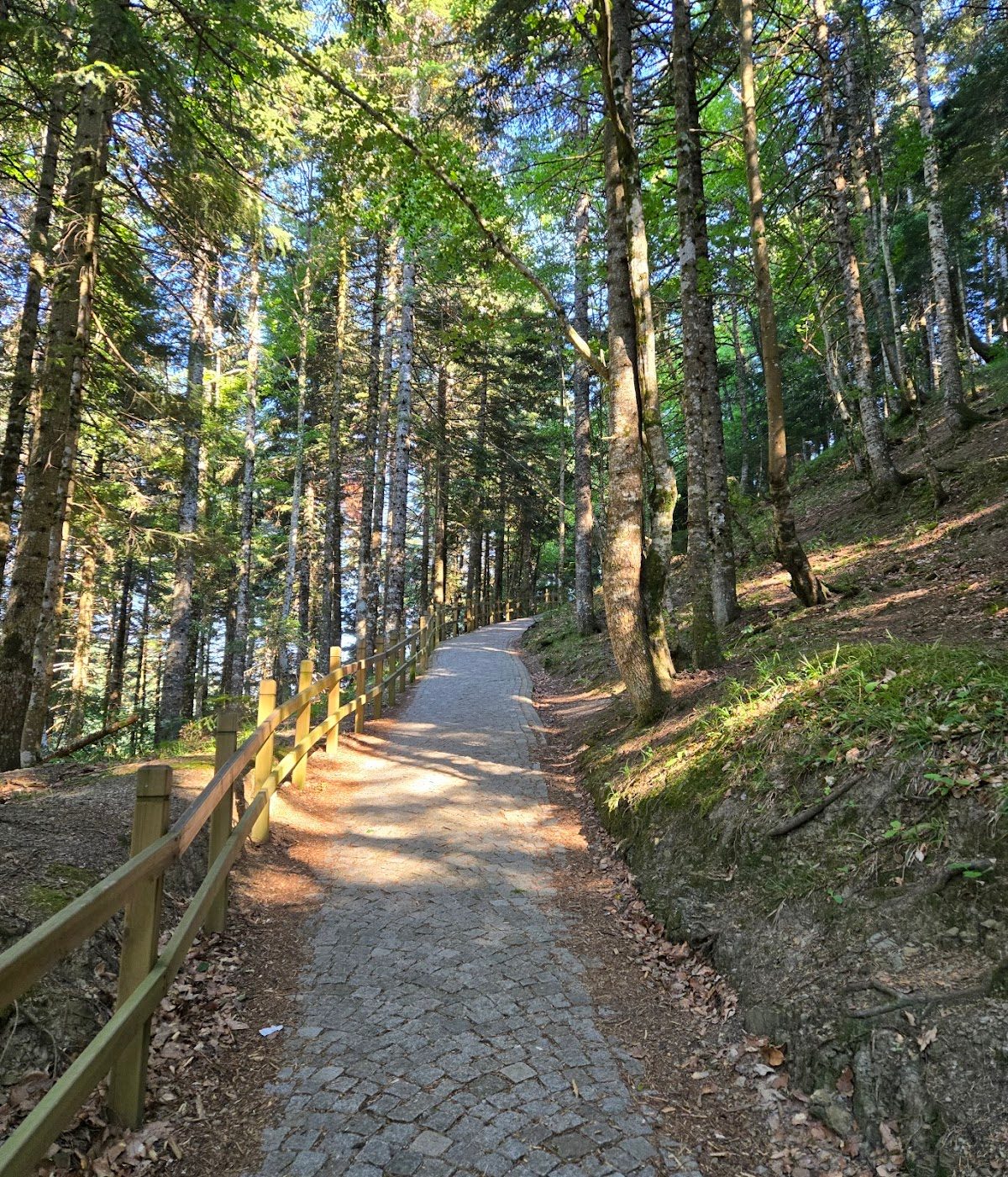 Küre Dağları Milli Parkı (Ulus Bölgesi) - 5