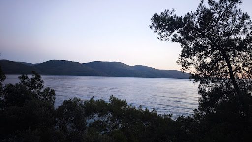 Akyaka Orman Kampı - 1