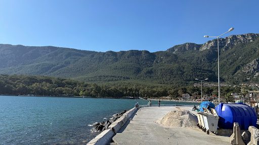 Akyaka Orman Kampı - 2