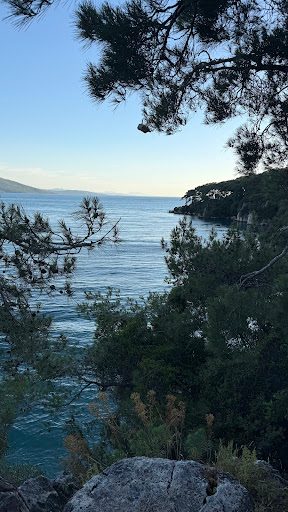 Akyaka Orman Kampı - 3