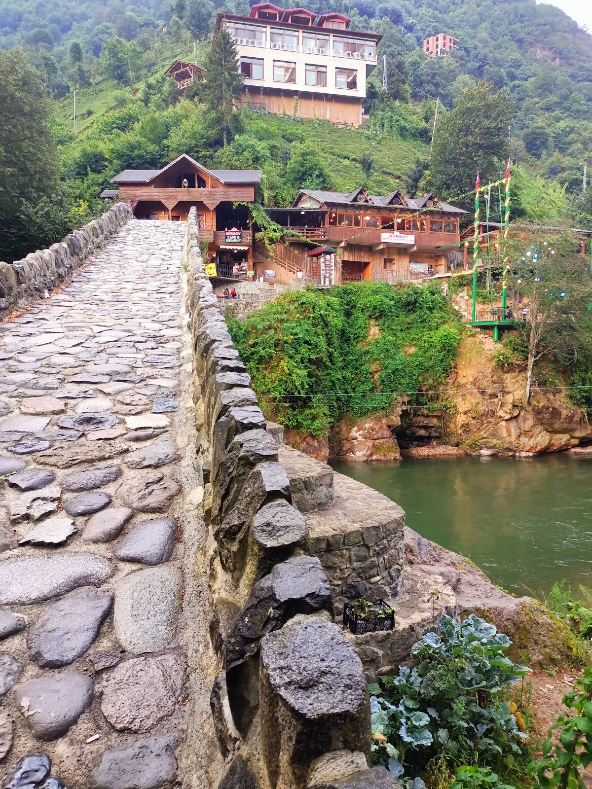 Timisvat Bridge - 3