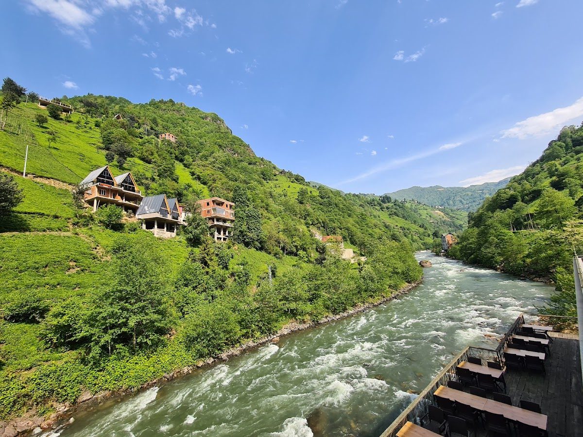 Timisvat Bridge - 5