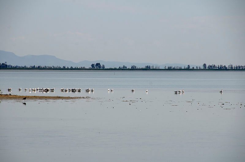 Şekerpınar (Akyatan Lake) Bird Paradise and Lagoon - 4