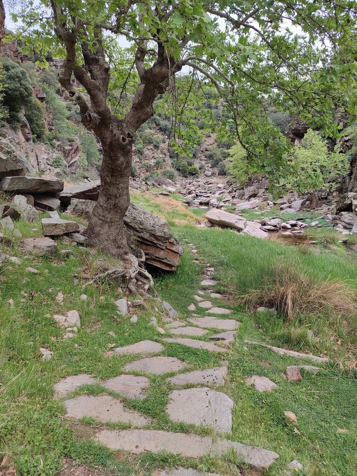 Taşyaran Valley - 6