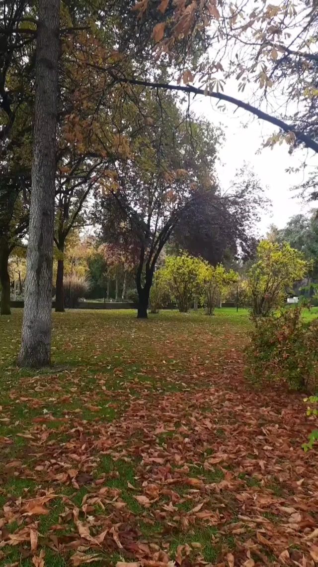 Meclis Parkı - 4