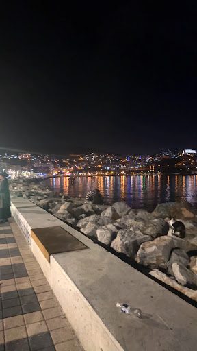 ساحل جيمليك - 1