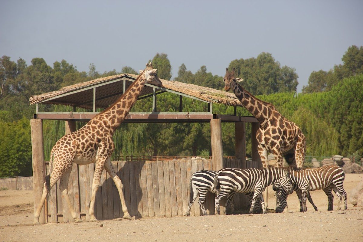 Izmir Natural Life Park
