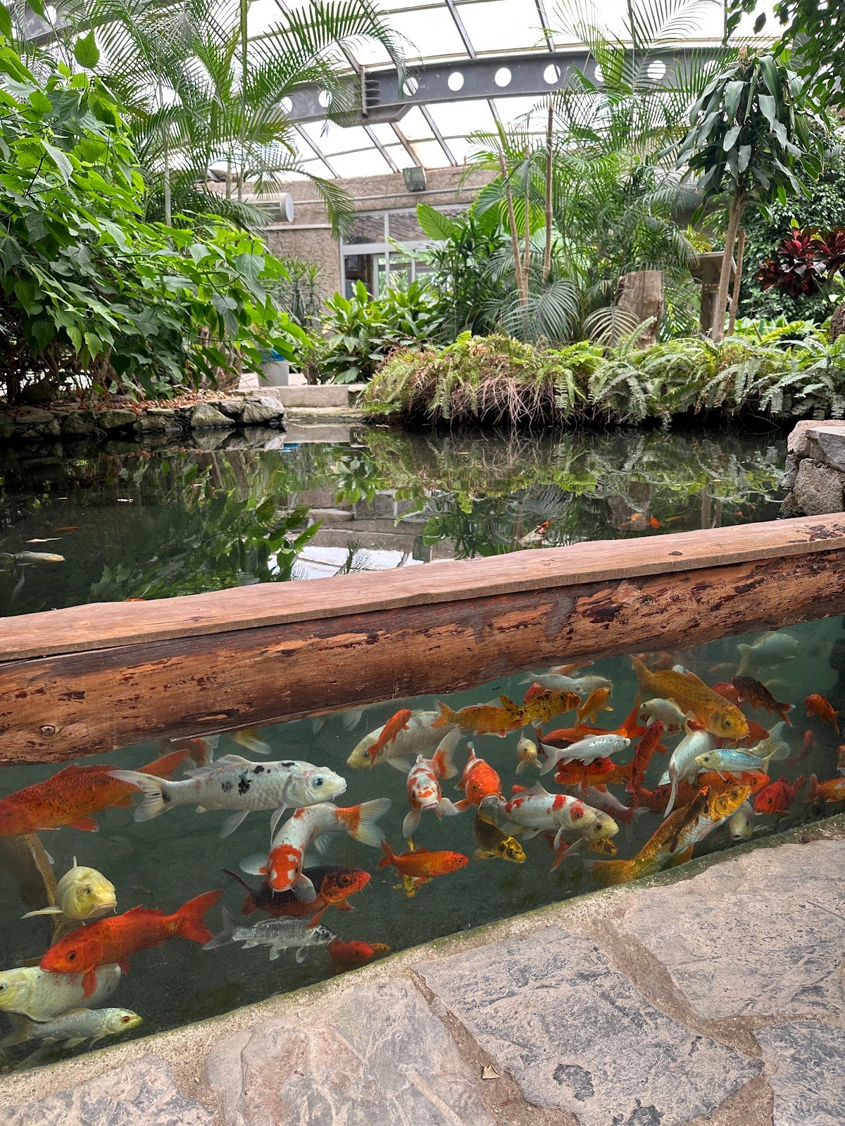Izmir Natural Life Park - 6