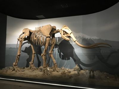 Archaeology Museum