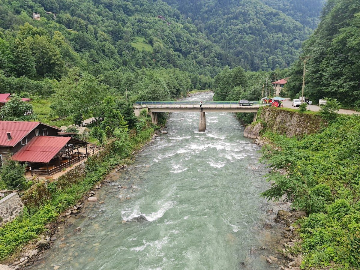 Şenyuva Köyü (Çinçiva)