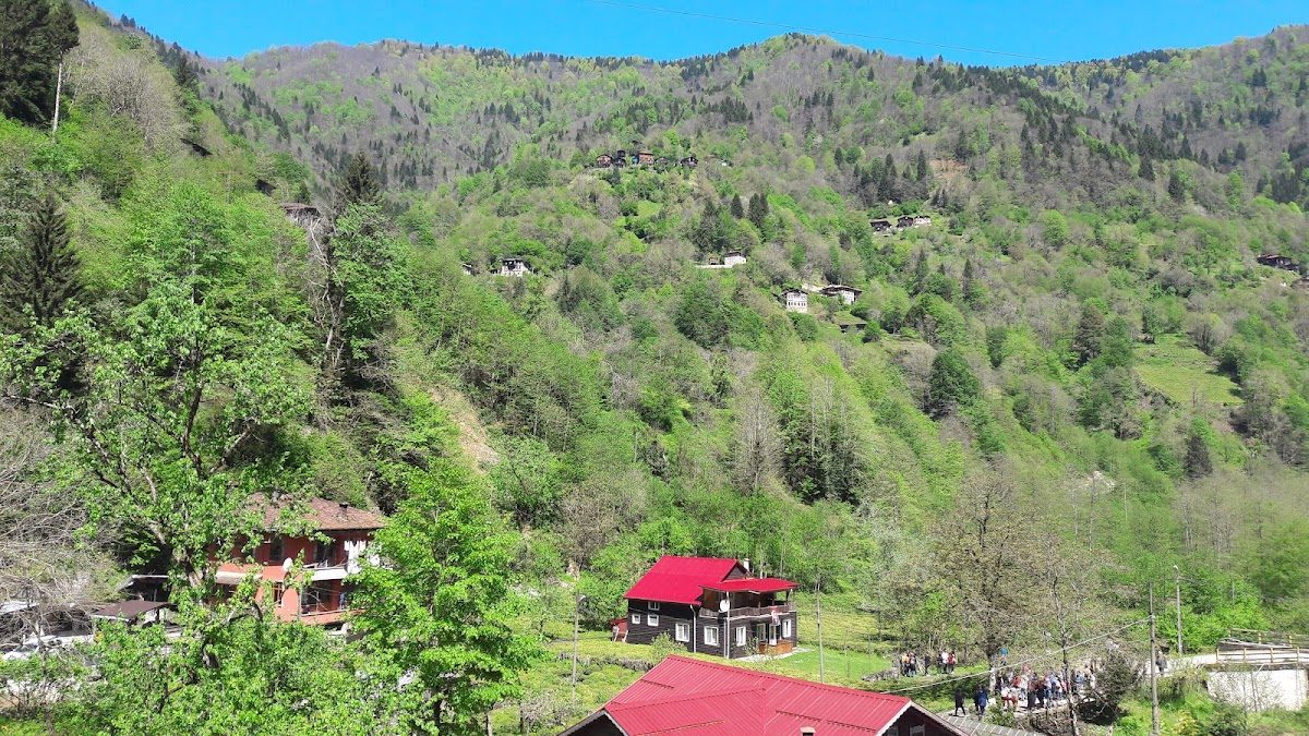 Şenyuva Köyü (Çinçiva) - 3
