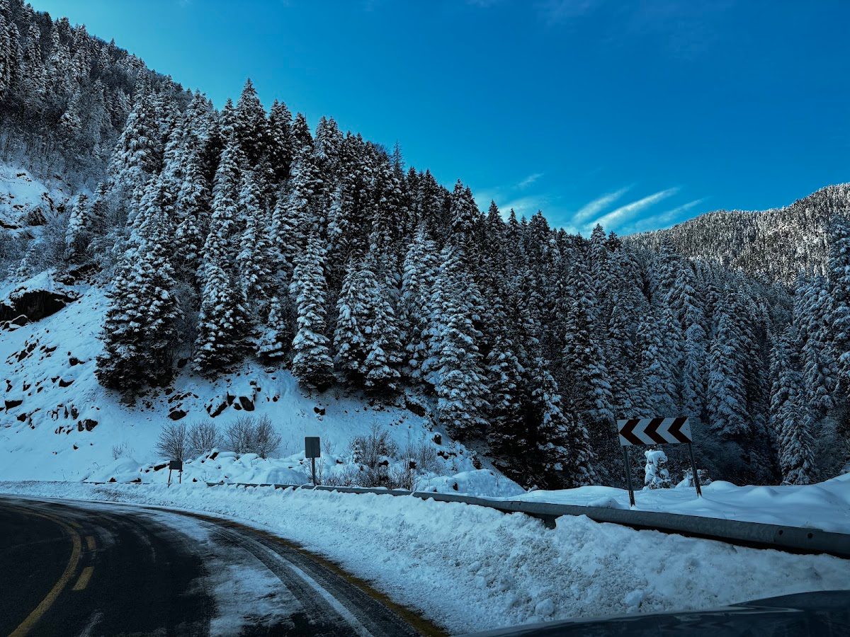 Zigana Dağı Trabzon Yamaçları ve Yaylaları