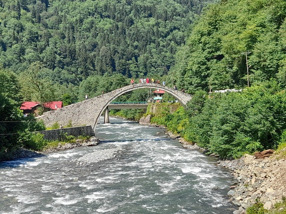 Şenyuva (Çinçiva) Stone Bridge - 3