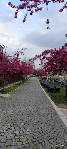Elazığ Kültürpark - 3