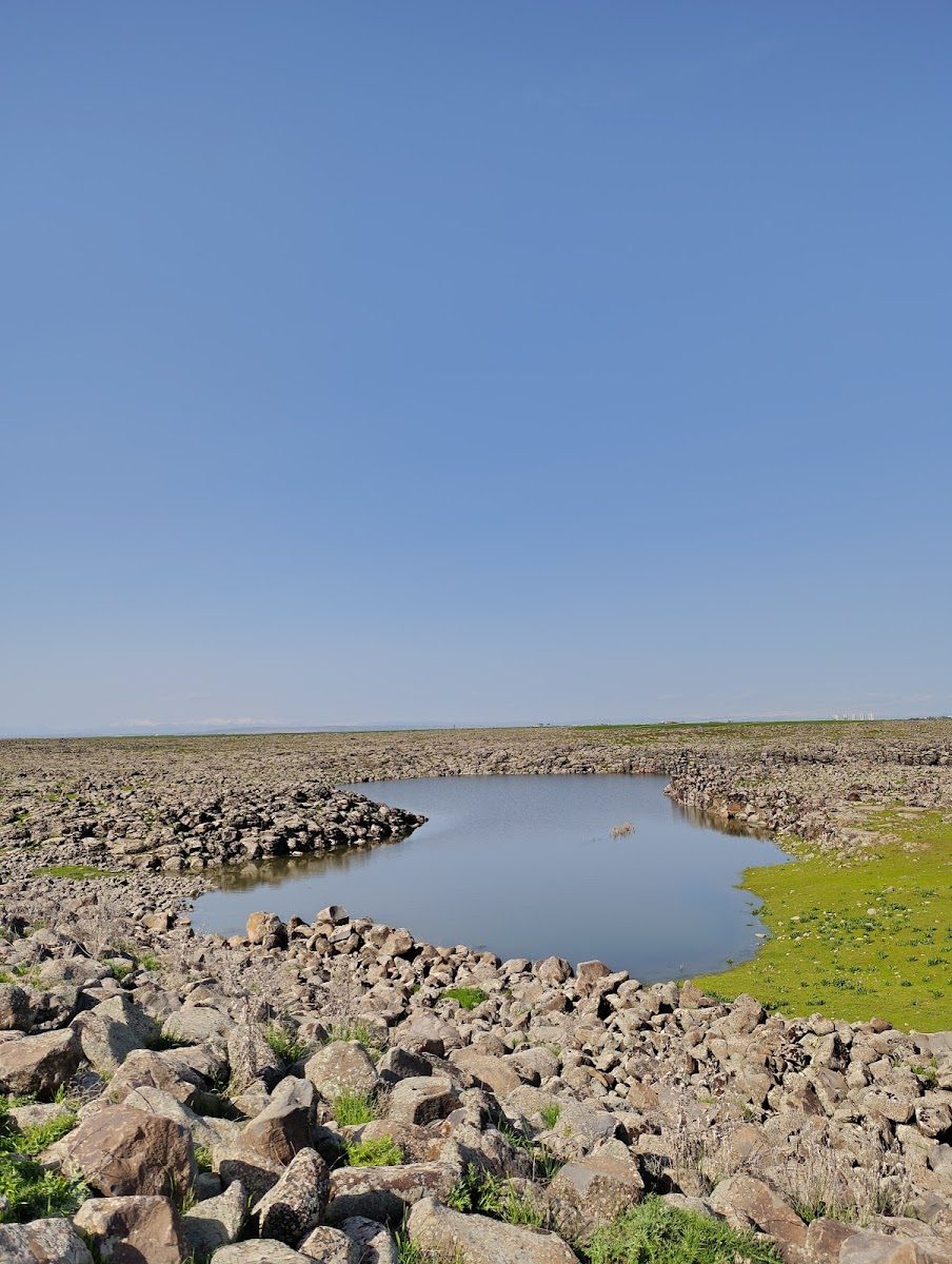 بركة غوزوغولو - 2