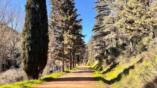 Değirmenboğazı Tabiat Parkı - 3