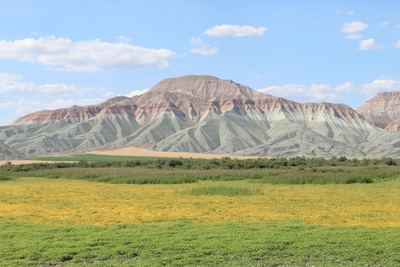 جنة طيور نالليهان (منطقة مراقبة الطيور في نالليهان)