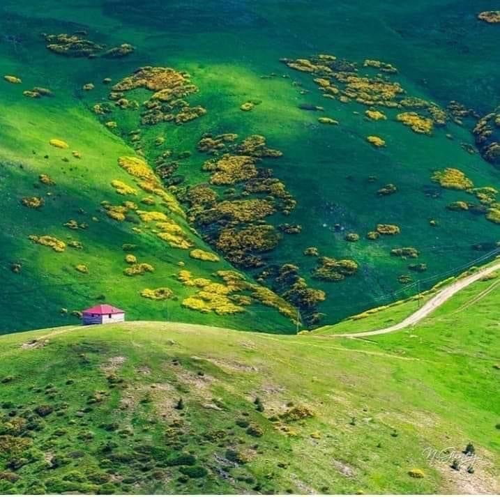 Çambaşı Yaylası - 5