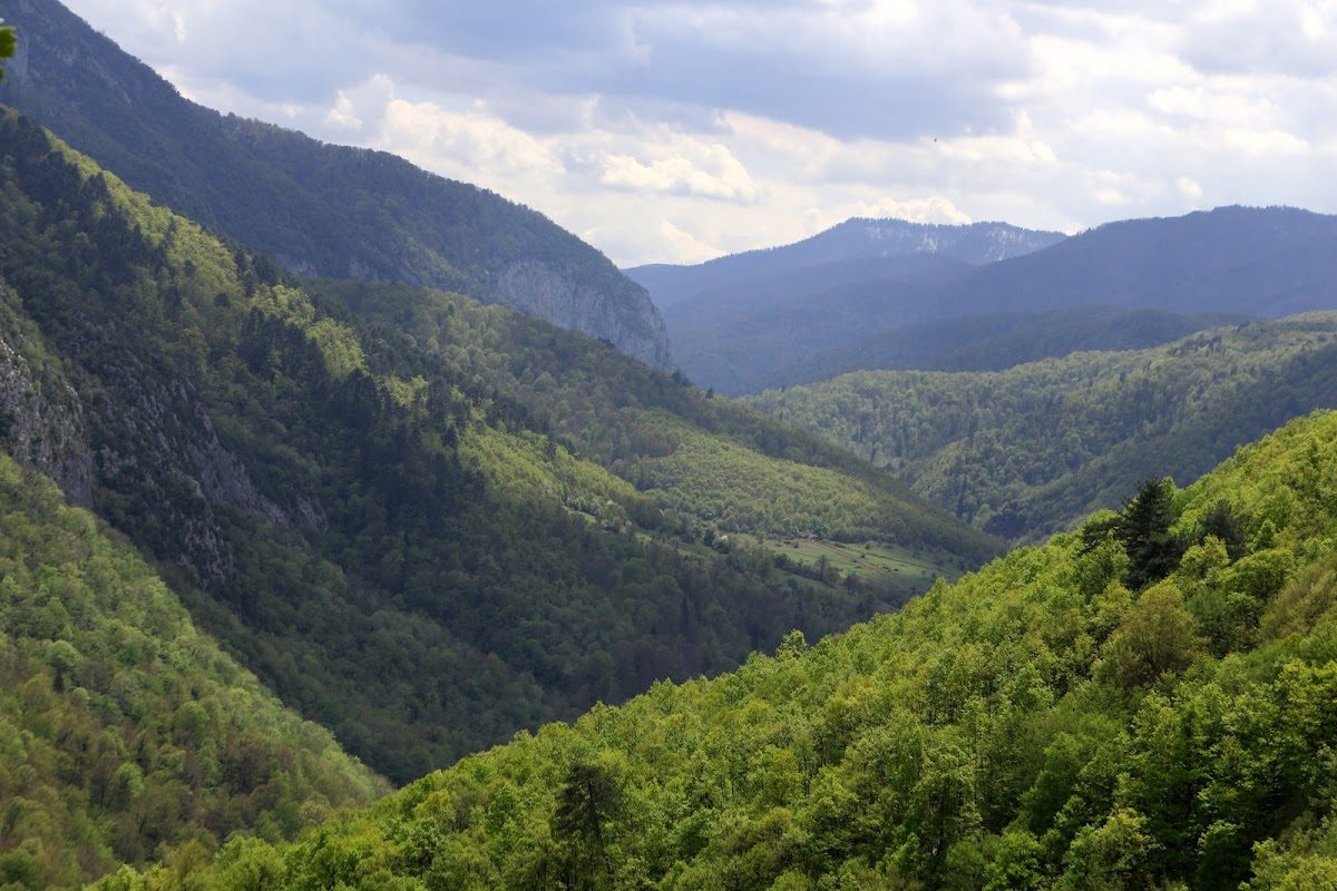 Yenice Forests Nature Park