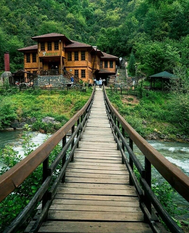 Yenice Forests Nature Park - 3