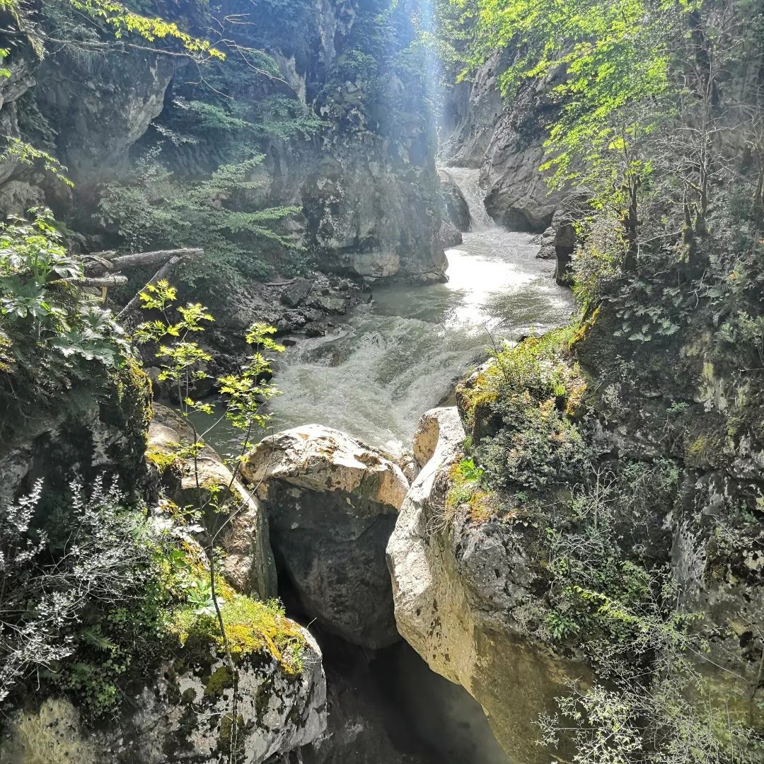 Yenice Forests Nature Park - 6