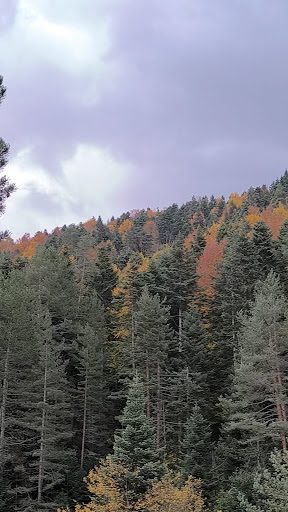 Sinekli Plateau - 2