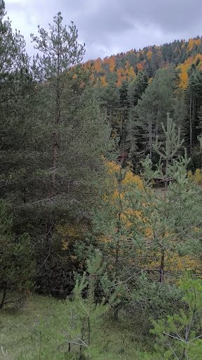 Sinekli Plateau - 3