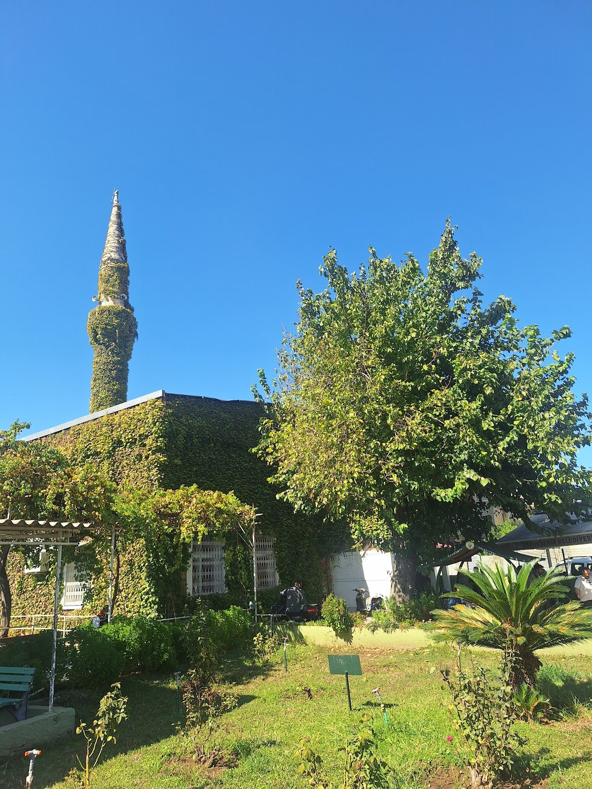 Green Mosque - 3