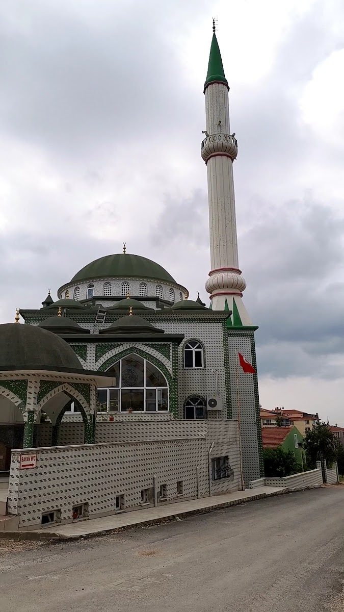 Koca Mehmet Yesevi Mosque - 1
