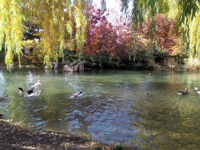 Ata Park Botanical Garden