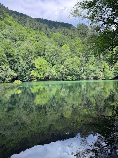Yedigöller National Park Campground - 1
