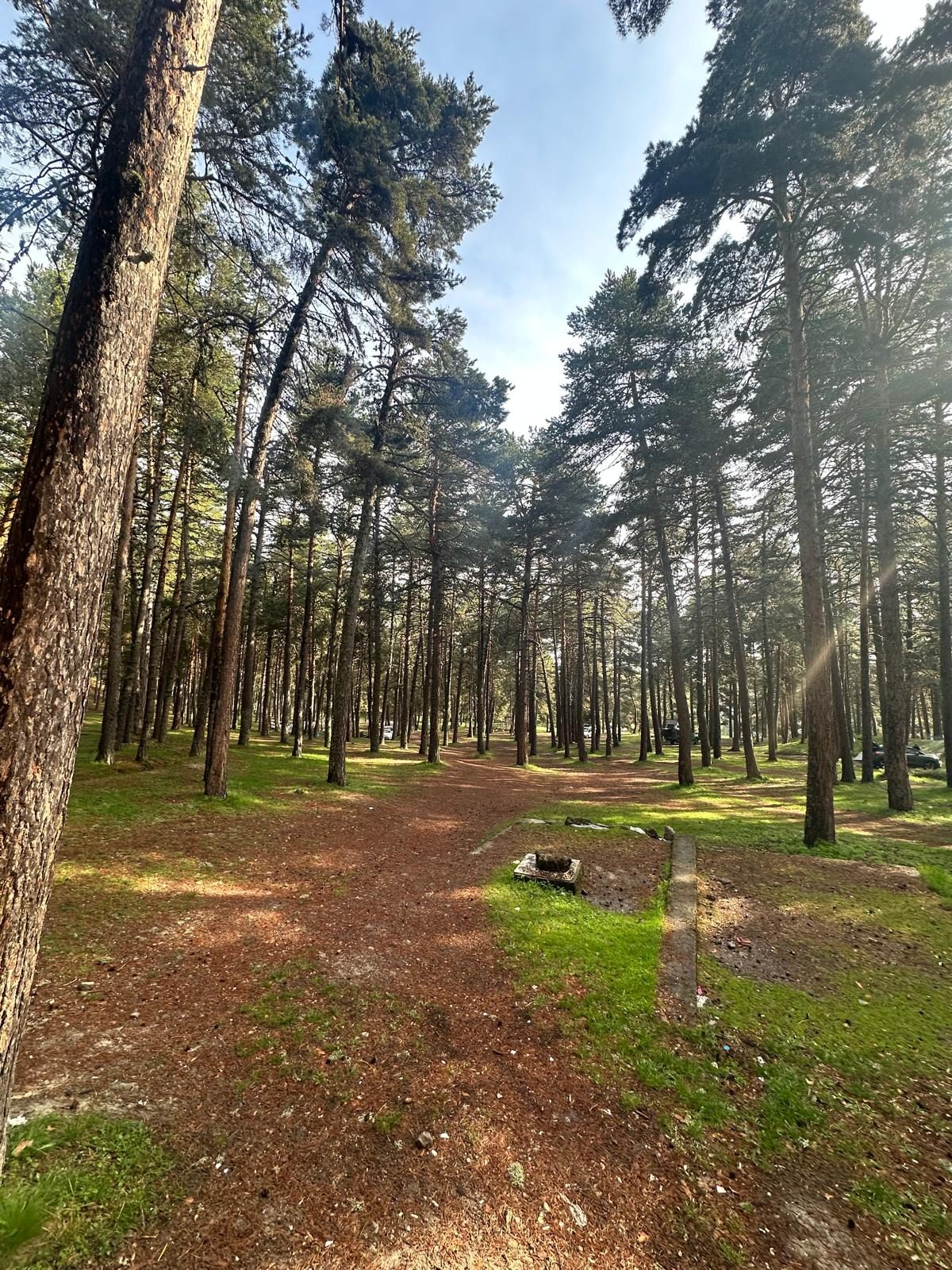 Kızılcahamam Çamkoru Tabiat Parkı - 6