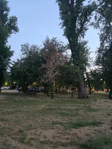 Edirne Kent Ormanı - 1