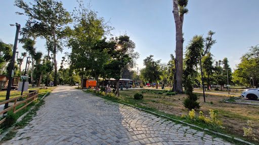 Edirne Kent Ormanı - 4