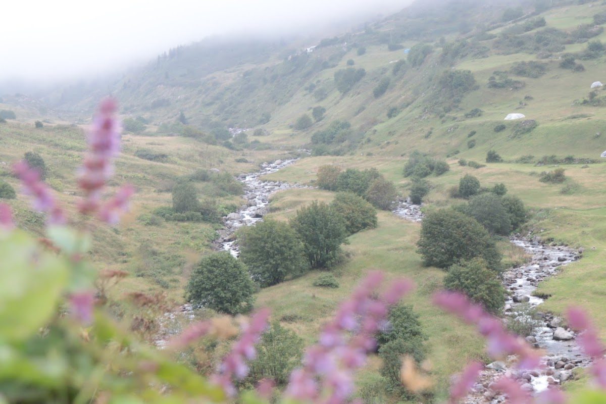 İkizdere Valley - 3