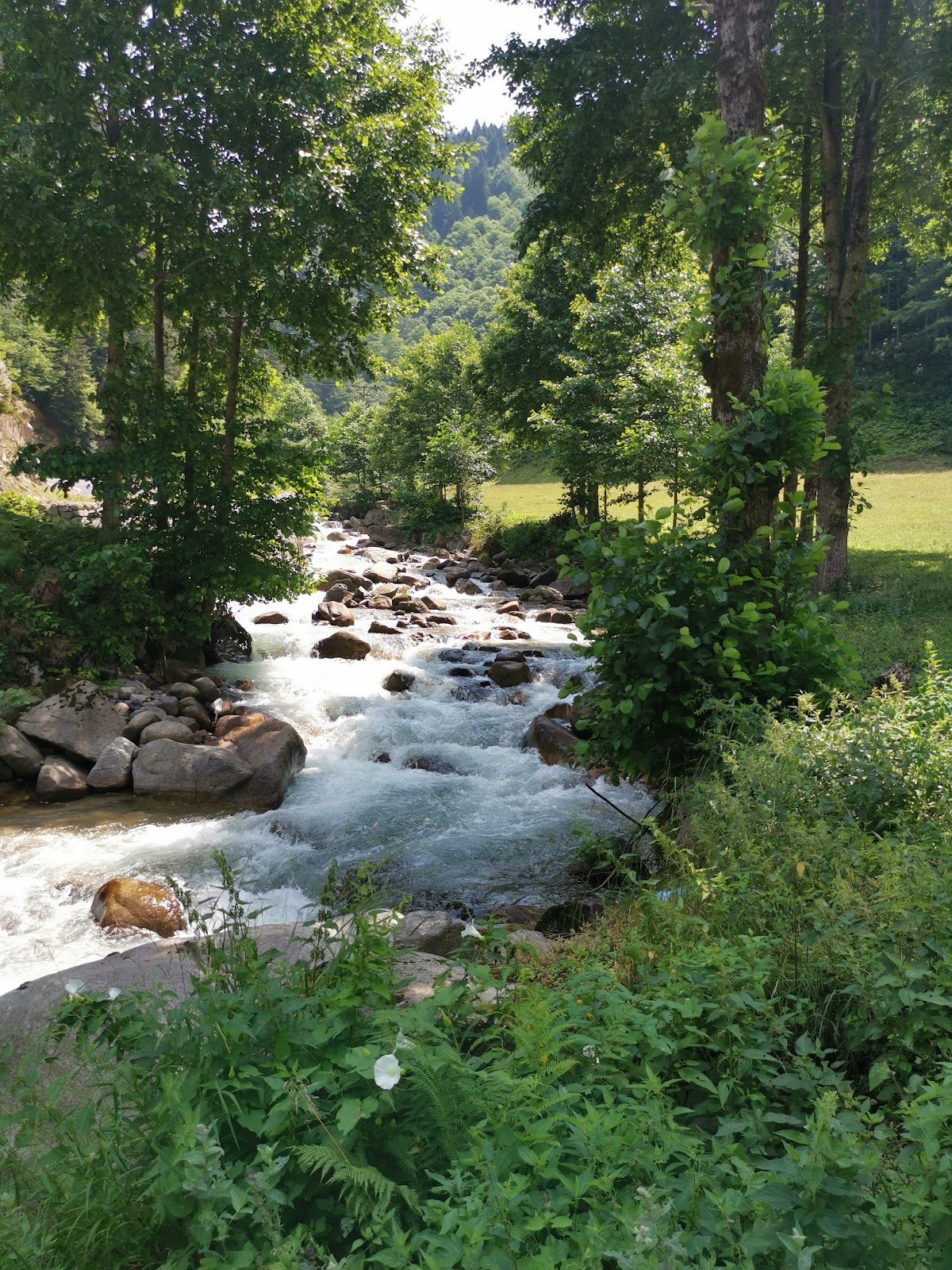 İkizdere Valley - 5