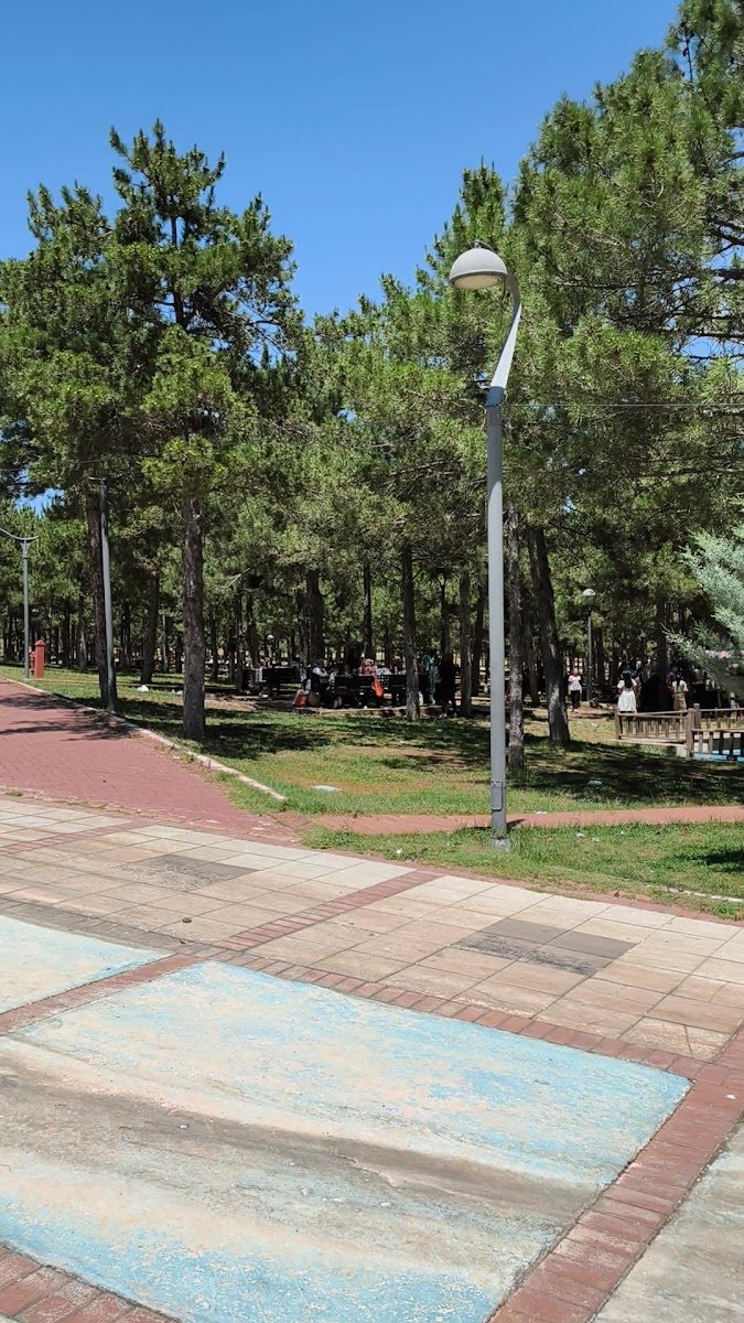 Zafran Mesire Yeri - 1