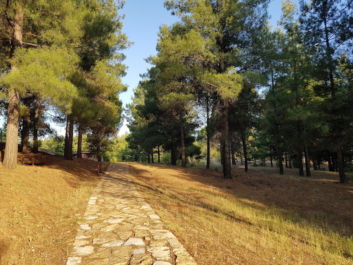 Kapıçam Tabiat Parkı - 3