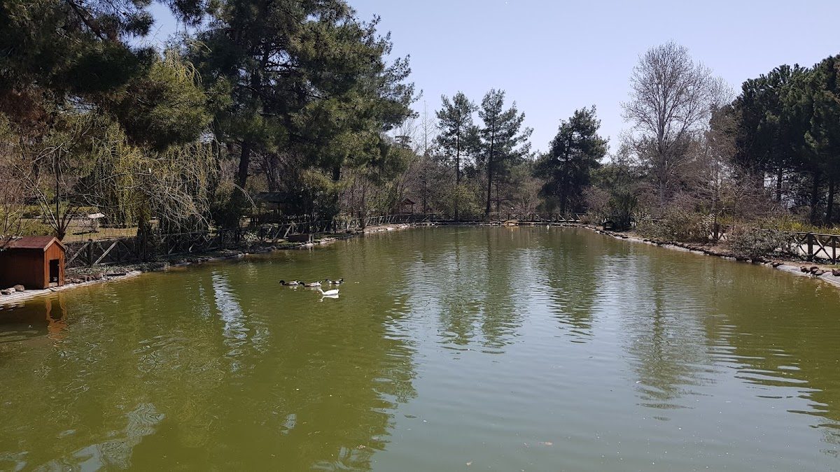 Kapıçam Tabiat Parkı - 5