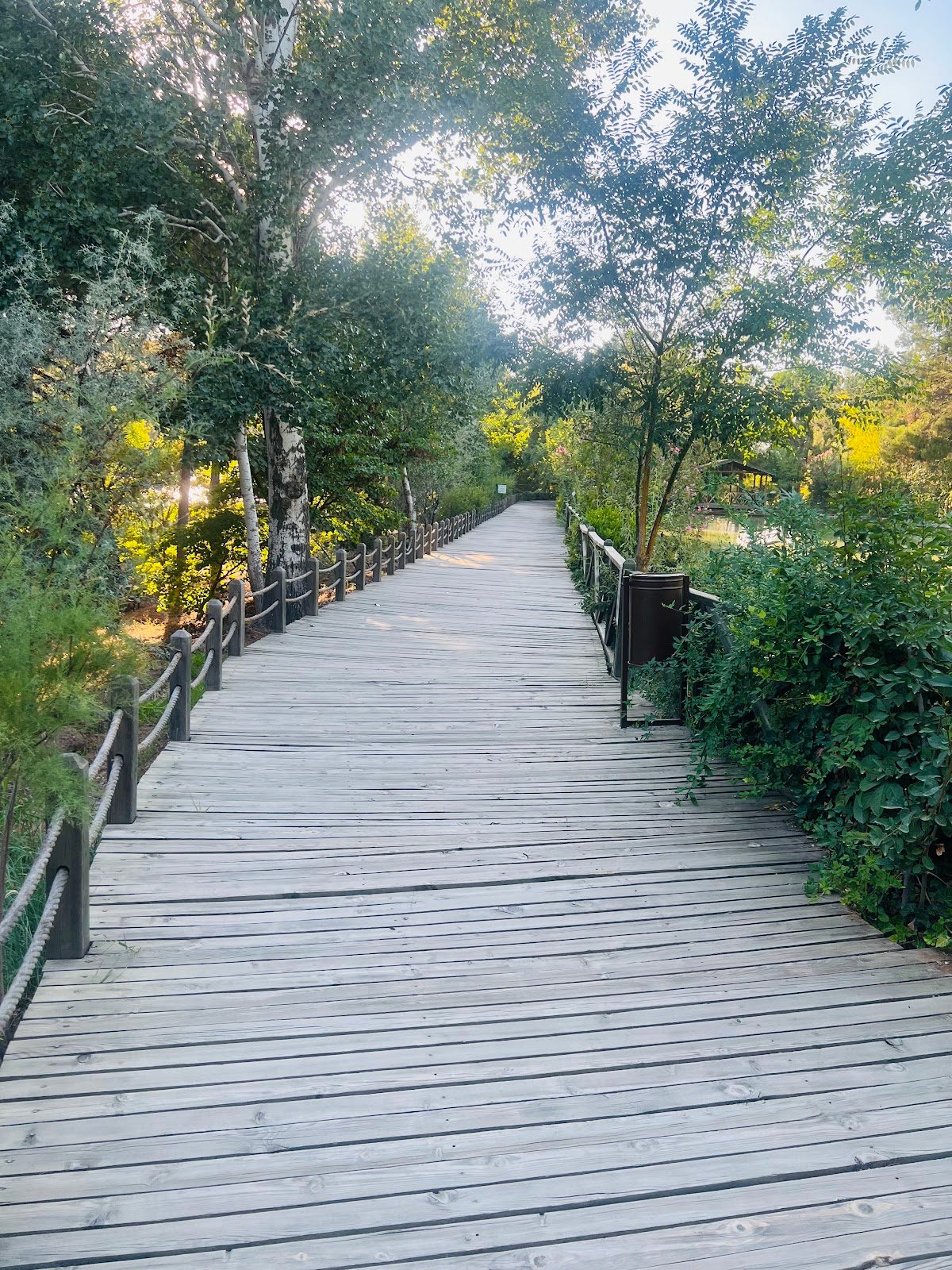 Kapıçam Tabiat Parkı - 6