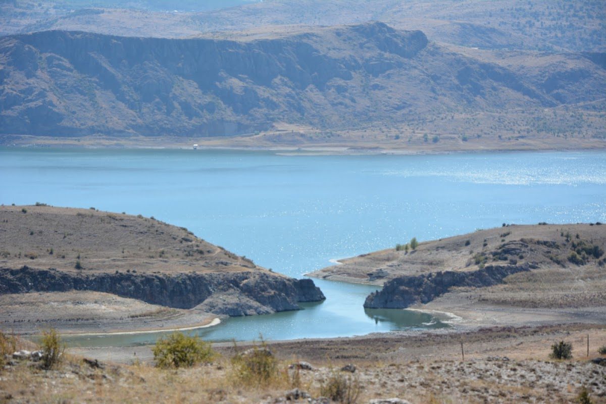Çamlıdere Fosil Ormanı - 5