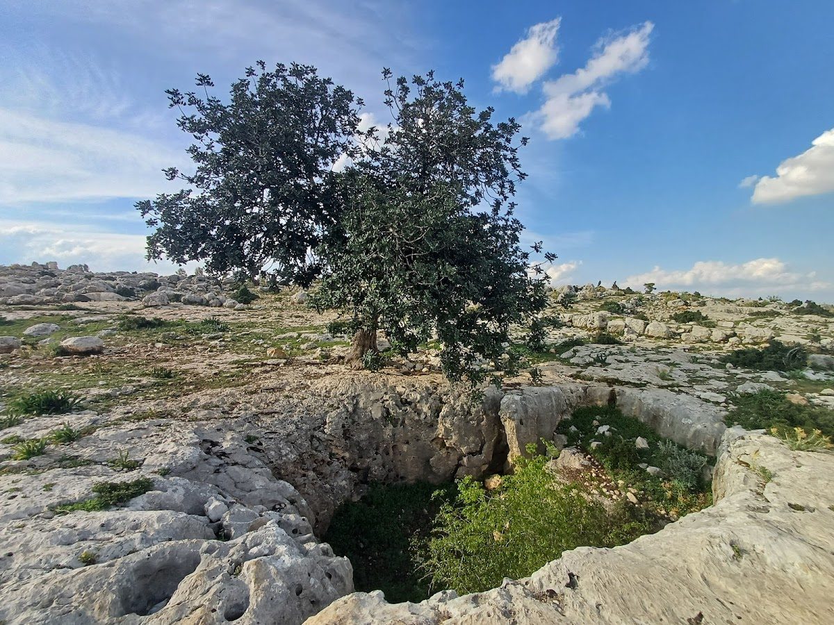 Roman Road and Aqueduct - 5