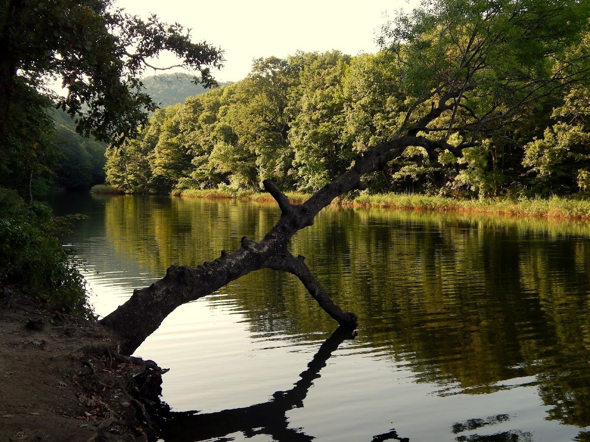 Çamlıköy Nature Park (Kastro)