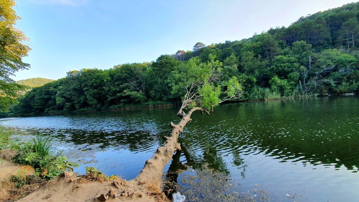 Çamlıköy Nature Park (Kastro) - 5