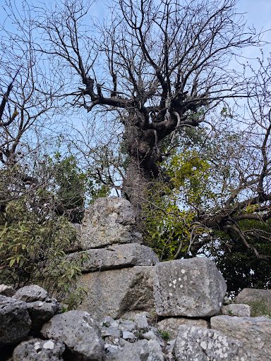 Trebenna Antik Kenti - 1