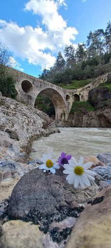 جسر علي
